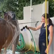 Sophie Williams avec son cheval